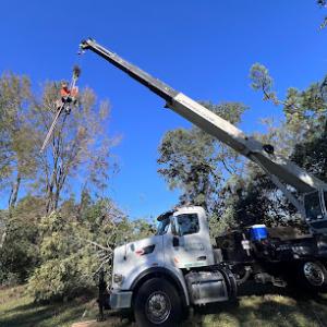 Prestige Tree Services
