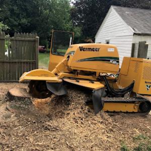 Stump Grinding by Precision