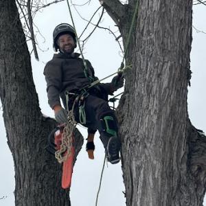Matzen Tree Service
