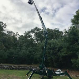 Birdseye Tree Service