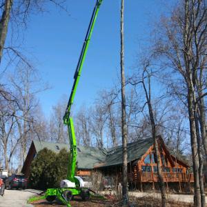 Lakes Forestry Tree Service