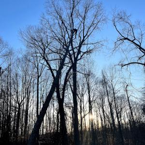 Anthony's Lawn Care & Landscaping