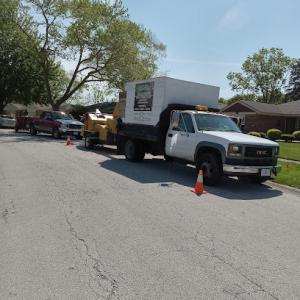 Hernandez professional tree service