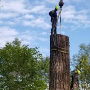 Perez Landscape & Tree Services