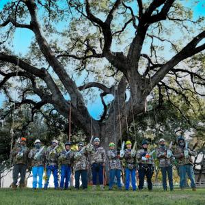 S.A. Total Tree Service