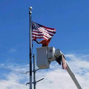 Timmy's Tree Service