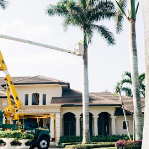 The Davey Tree Expert Company