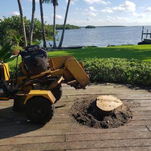 G R's Stump Removal