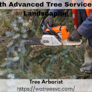 Heath Advanced Tree Service & Landscaping