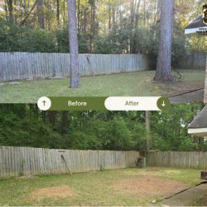 OpExcellence Tree & Stump Pros