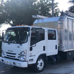 Professional Tree Trimmers