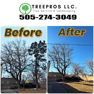 Treepros