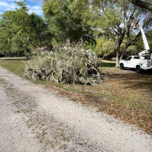 Ultimate Tree Service