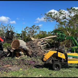 Manatee Stump Grinding
