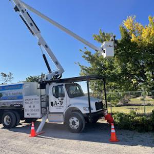 A-1 Tree & Hauling Services