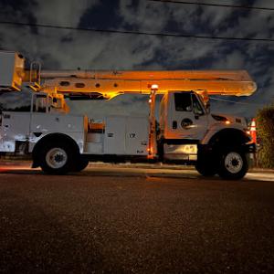 All Your Way Tree Service