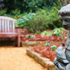 Deep Roots Design & Landscape