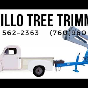 Trujillo Tree Trimming