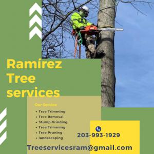 Ramirez tree service & landscaping