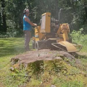 Stump Grinders CT