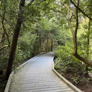 Terrace Tree Service