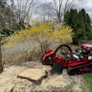 Mays Stump Grinding