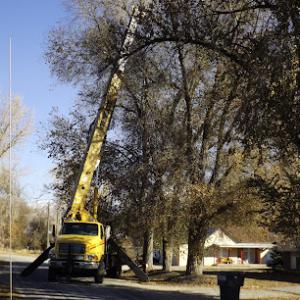 cnc crane & tree service