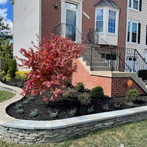 Benitez Landscape & Design