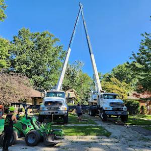 Clean Cut Tree Experts