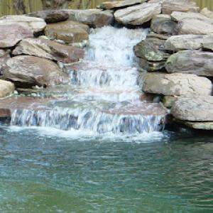 Premier Turf & Landscaping