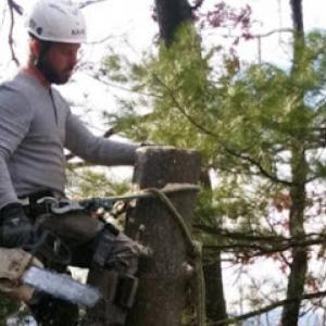 Woodchucks Tree Service