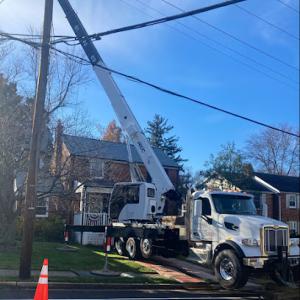 Gutierrez Tree & Crane Services