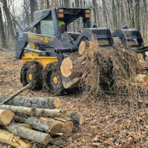 Daniel's Tree Service