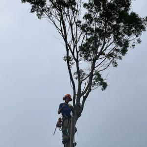 Sullivan Complete Home Services