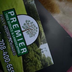 Premier Tree Service & Landscaping