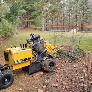 Eagle Valley Stump Removal & Land Care