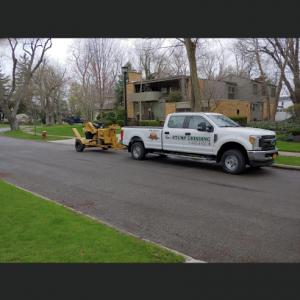 Len's Stump Grinding & Tree Service