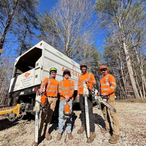 Arborall Tree Service