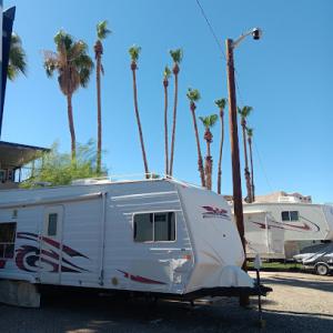 Discount Tree & Yard Service