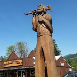 All About Trees Z n C 's