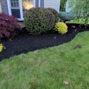 Alberto Mendoza Landscaping