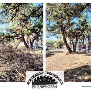 North Shore Tree Service