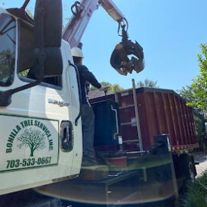 Bonilla Tree Service