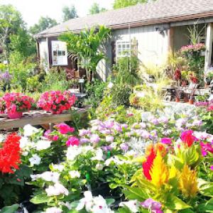 North Country Landscapes & Lenk Tree Service