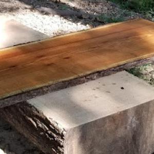 Benny Bees Tree Service