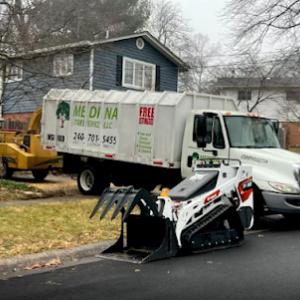 Medina Tree Services