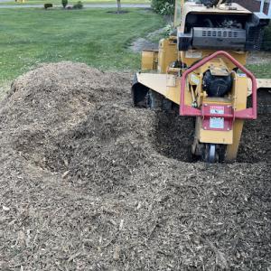 Vertical Solutions Services