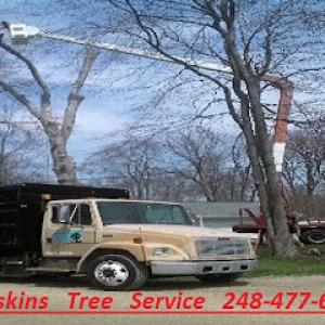 Hoskins Tree Service