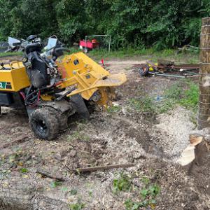 Stump Magic Gulf Coast
