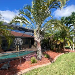 T's Trees & Landscaping